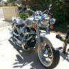 harleydeluxe13